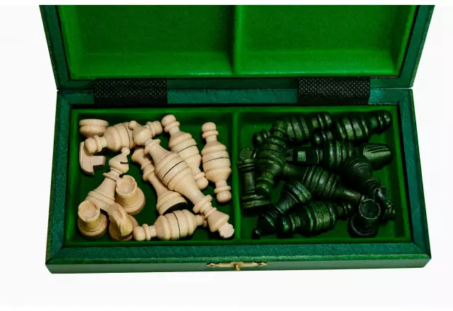 Coffret de rangement ouvert montrant les pièces claires et foncées rangées séparément